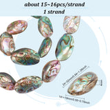 1 Strand Natural Abalone Shell/Paua Shell Beads Strands, Flat Oval, Colorful, 24~32x14~19x4mm, about 15~16pcs/strand, 15.5 inch