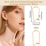 50Pcs 304 Stainless Steel Hoop Earring Findings, Kidney Ear Wires, Real 18K Gold Plated, 20 Gauge, 20x9x0.8mm