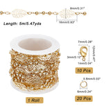 DIY Leaf Chain Bracelet Necklace Maknig Kit, Including Brass Leaf Link Chains with Round Beaded & Clasps, 304 Stainless Steel Jump Rings, Golden, Chain: 5M/bag