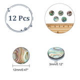 12Pcs Natural Abalone Shell/Paua Shell Cabochons, with Freshwater Shell, Flat Round, 12x3mm