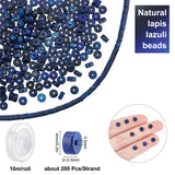 DIY Stretch Bracelets Making Kits, Including 1 Strand Disc Natural Dyed Lapis Lazuli Beads Strands and 1 Roll Strong Stretchy Beading Elastic Thread, 4x2~2.5mm, Hole: 0.5mm, about 183~192pcs/strand, 15.7 inch(40.5~41.7cm)