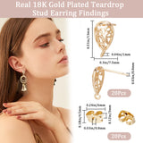 20Pcs Brass Teardrop Stud Earring Findings, with Vertical Loops & 20Pcs Ear Nuts, Real 18K Gold Plated, 13x7.5mm, Hole: 1mm, Pin: 0.8mm