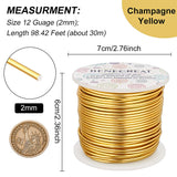 Round Aluminum Wire, Champagne Yellow, 12 Gauge, 2mm, about 98.42 Feet(30m)/roll