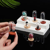 12 Sets 6 Style Glass Dome Cover, Decorative Display Case, Cloche Bell Jar Terrarium with Wood Base, Mixed Color, 25~30x33.5~41.5mm, 2 sets/style