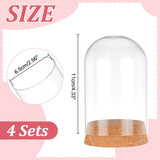 4Pcs Glass Dome Cover, Decorative Display Case, Cloche Bell Jar Terrarium with Cork Base, Arch, Clear, 65x110mm
