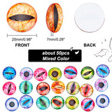 1 Bag Printed Glass Cabochons, Half Round/Dome with Eye Pattern, Mixed Color, 25x7mm, about 50pcs/bag