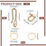 Brass D-Ring Anchor Shackle Clasps, for Bracelets Making, Brass S Hook Clasps, Alloy Split Key Rings, Golden, 25~60.5x15.5~25x2~8.5mm, Hole: 2.5~5.5mm