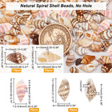 240Pcs Natural Conch Shell Beads & 45Pcs Shell Pendants, Mixed Color, 7~25x3~10x3~12mm, Hole: 1mm