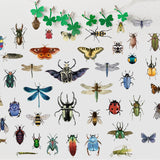 PVC Wall Stickers, Wall Decoration, Insect Pattern, 290x900mm, 2pcs/set