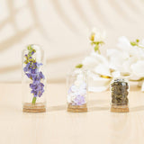 Glass Dome Cloche Cover, Bell Jar, with Cork Base, For Doll House Container, Dried Flower Display Decoration, Clear, 24pcs/box