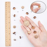Natural Wood Stud Earrings, with Stainless Steel Stud Earring Findings and Ear Nuts, Flat Round with Pattern, Bisque, 12x4mm, Pin: 0.6~0.7mm, 6 patterns, 1pair/pattern, 6pairs/box