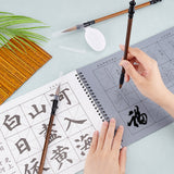 1 Book Chinese Calligraphy Brush Water Writing Magic Cloth Manuscript of Calligrapher, with 1Pc Spoon Shape Ink Tray Containers and 3Pcs 3 Styles Brushes Pen, Mixed Color, , 96~290x44~295x11.5~20mm