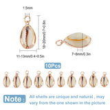 10Pcs Cowrie Shell Pendants, with Brass Findings, Golden, 18~20x11~13x7~8mm, Hole: 1.5mm