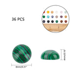 Gemstone Cabochons, Half Round/Dome, 8x4mm, 36pcs/box