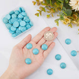 Dyed Synthetic Turquoise Cabochons, Half Round/Dome, 16x6mm, 50pcs/box