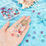 90Pcs 9 Colors Czech Glass Beads, Shell Shape, Mixed Color, 8~10x10~10.5mm, Hole: 1~1.5mm, 10Pcs/color