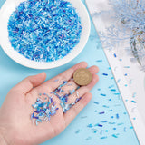 1500Pcs 5 Colors 12/0 Round Glass Seed Beads, Opaque Colors Lustered, with 2000Pcs 10 Style Round & Twist Bugle Beads, Blue, 2~7x2mm, Hole: 0.8~1mm, 3300Pcs/box