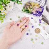 300Pcs 6 Colors Transparent Acrylic Beads, Flower, Mixed Color, 10x10x3mm, Hole: 1.4mm, 50pcs/color