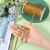 2 trands Polyester Wave Bending Fringe Trim, Sewing Ribbon, for Cloth Dress DIY Making Decorate, with Spool, Gold, 3/16 inch~3/8 inch(5~8.5mm), about 22~25m/strand