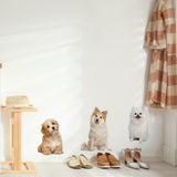 PVC Wall Stickers, for Wall Decoration, Dog Pattern, 400x980mm