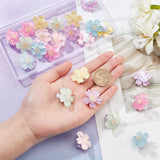 24Pcs 6 Colors Resin Shoelace Charms, Detachable Buckle Clips, Sakura, Mixed Color, 26.5x25.5x14.8mm, 4pcs/color