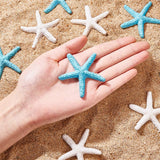 Resin Cabochons, Starfish, Mixed Color, 57x9.5mm, 8pcs/color, 16pcs/box