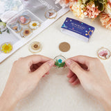 12Pcs 6 Colors Transparent Epoxy Resin Pendants, Flat Round Charms with Inner Flower, with Edge Golden Plated Brass Loops and Gold Foil, Mixed Color, 33.8x30x4mm, Hole: 2.5mm, 2pcs/color