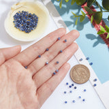 2 Strands Natural Sodalite Beads Strands, Faceted, Round, 3mm, Hole: 0.5mm, about 127pcs/strand, 15.2 inch