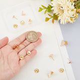 10Pcs 5 Style Brass Stud Earring Findings, with 10Pcs Ear Nuts, Golden, 7~12.5x7~16x0.5~4mm, Hole: 0.9~1mm, Pin: 0.7~0.8mm, 2pcs/style