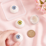 4Pcs 2 Colors Resin Craft Eyes, Hollow Eyeballs, Doll Making Accessories, Half Round, Mixed Color, 32x17.5mm, Inner Diameter: 26.5mm, 2pcs/color