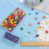 160Pcs 2 Styles Synthetical Turquoise Beads, Dyed, Turtle & Starfish, Mixed Color, 14~18.5x14~15x5~8mm, Hole: 1.5mm, 80pcs/box