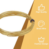 Brass Wires, Craft Wire, Twisted Rope Round, Raw(Unplated), 20 Gauge, 0.8mm, about 19.69 Feet(6m)/Roll