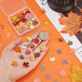 12 Style Autumn Theme Alloy Enamel Pendants, Pumpkin & Maple Leaf, Mixed Color, 10.5~23.5x10~19x1~10mm, Hole: 1.4~2mm, 64pcs/box