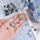 90Pcs 3 Colors Acrylic Imitation Shell Cabochons, Half Round, Mixed Color, 8x3mm, 30pcs/color