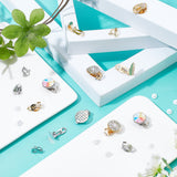 36Pcs 6 Style 304 Stainless Steel Clip-on Earring Findings, with Round Flat Pad, Flat Round, with Plastic Ear Nuts, Mixed Color, Earring Findings: 12~22x6~15x7~9mm, 6pcs/style