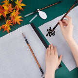 10Pcs Chinese Calligraphy Brush Water Writing Magic Cloth, with 1Pc Spoon Shape Ink Tray Containers and 3Pcs 3 Styles Brushes Pen, None Pattern, 96~342x44~430x0.2~20mm