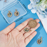 5Pcs Natural Abalone Shell/Paua Shell Pendants, with Brass Micro Pave Clear Cubic Zirconia Findings, Oval with Rose Charm for Valentine's Day, Real 18K Gold Plated, 21x15.5x6mm, Hole: 5x2.5mm