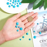 Synthetic Turquoise Cabochons, Half Round, 6mm/8mm/10mm/12mm, 40pcs/box