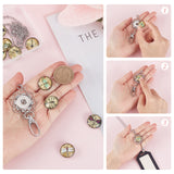 DIY Necklaces Making Kit, Including Platinum Plated Brass Jewelry Snap Buttons, Alloy Snap Pendant Making, with Swivel Clasps, 304 Stainless Steel Cable Chains Necklaces, Dragonfly Pattern, Button: 18.5x9mm, 12Pcs