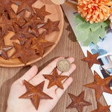 30Pcs 3 Styles Iron Pendants, Rusting, Star, Coconut Brown, 38~59x39.5~62x4~6mm, Hole: 1~2.5mm, 10pcs/style