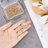 100Pcs 304 Stainless Steel Ball Stud Earring Findings, with Horizontal Loops & 100Pcs Ear Nuts, Golden, 15x7x4mm, Pin: 0.8mm