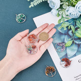 8Pcs 8 Colors Gemstone Pendants, with Platinum Brass Findings, Flat Round with Tree of Life, 29x5~7mm, Hole: 4.5mm, 1pc/color