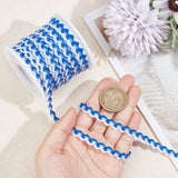 15M Polyester Wavy Fringe Trim Ribbon, Two Tone Wave Bending Lace Trim, for Clothes Sewing and Art Craft Decoration, White, Blue, 1/4 inch(8mm), about 16.40 Yards(15m)/Roll