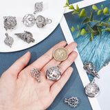 10Pcs 5 Styles Jewelry Making Finding Sets, Including Brass Hollow Cage Pendants and Alloy & Brass Locket Pendants, For Diffuser Chime Ball Pendant Necklaces Making, Mixed Shapes, Platinum, Platinum, 25~37x17.5~29x7.5~24mm, Hole: 2~6.5x2~6mm, 2pcs/style