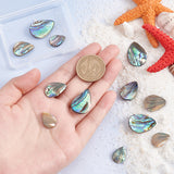 12Pcs 3 Styles Natural Abalone Shell/Paua Shell Beads, Top Drilled, Teardrop, 16~25x12~18x2~6mm, Hole: 0.7mm, 4pcs/style