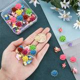 60Pcs 3 Style Handmade Polymer Clay Links Connectors, with Golden Brass Findings, Mixed Flower, Mixed Color, 9.5x18.5x4mm, Hole: 2~3mm, 20pcs/style