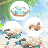 DIY Beads Jewelry Making Finding Kit, Including Natural Conch & Cowrie & Spiral Shell Beads, Starfish & Tortoise Dyed Synthetic Turquoise Beads, Mixed Color, 7~58x3~35x2~34mm, Hole: 1mm