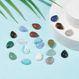 Natural & Synthetic Gemstone Cabochons, Teardrop, 13~14x9~10x5mm, 26pcs/box