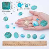 DIY Imitation Gemstone Style Earring Making Kits, include Acrylic & Synthetical Turquoise & Alloy Beads, Brass Earring Hooks, Antique Silver & Platinum