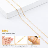 DIY Paperclip Chain Jewelry Making Kits, Including 5m Brass Paperclip Chains, Zinc Alloy Lobster Claw Clasps and Iron Jump Rings, Golden, Chain Link: 7.6x2.6x0.5mm